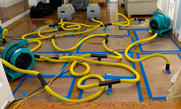 Professional Structural Drying And Dehumidification technician working in Madison, ME